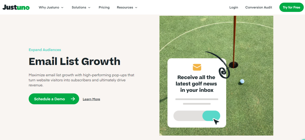 email-list-growth