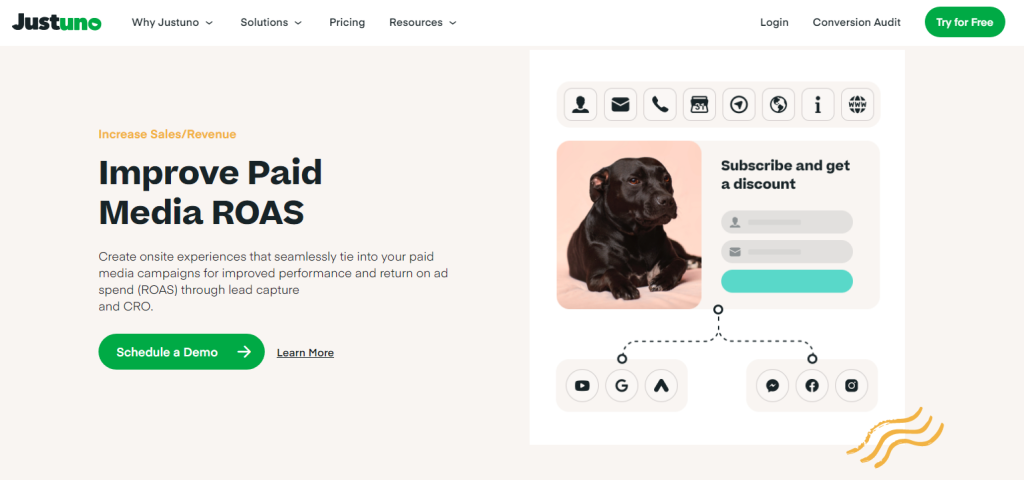 paid-media-ROAS